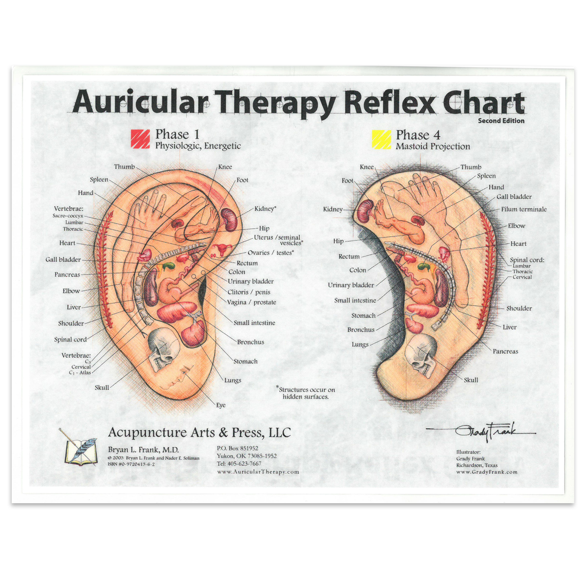 Auricular b hotsell