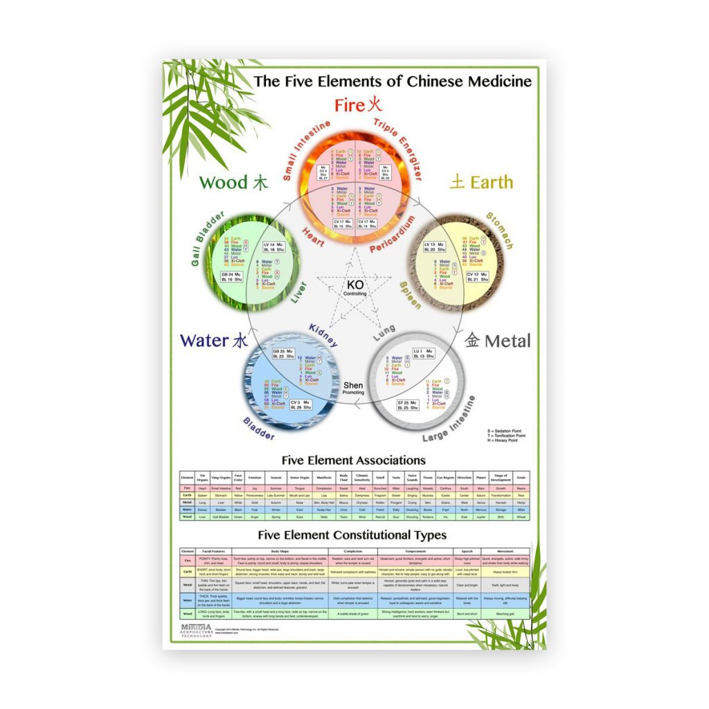 The World's Best Five Element Acupuncture Wall Chart Eastern Currents
