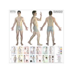 The Ultimate Acupuncture Wall Chart