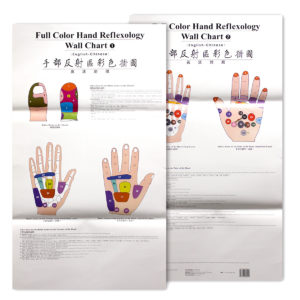 Hand Reflexology Chart (Eng-Chinese) Folded (PMPH)