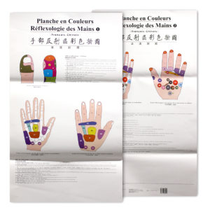Full Color Hand Reflexology Wall Chart (French-Chinese) PMPH