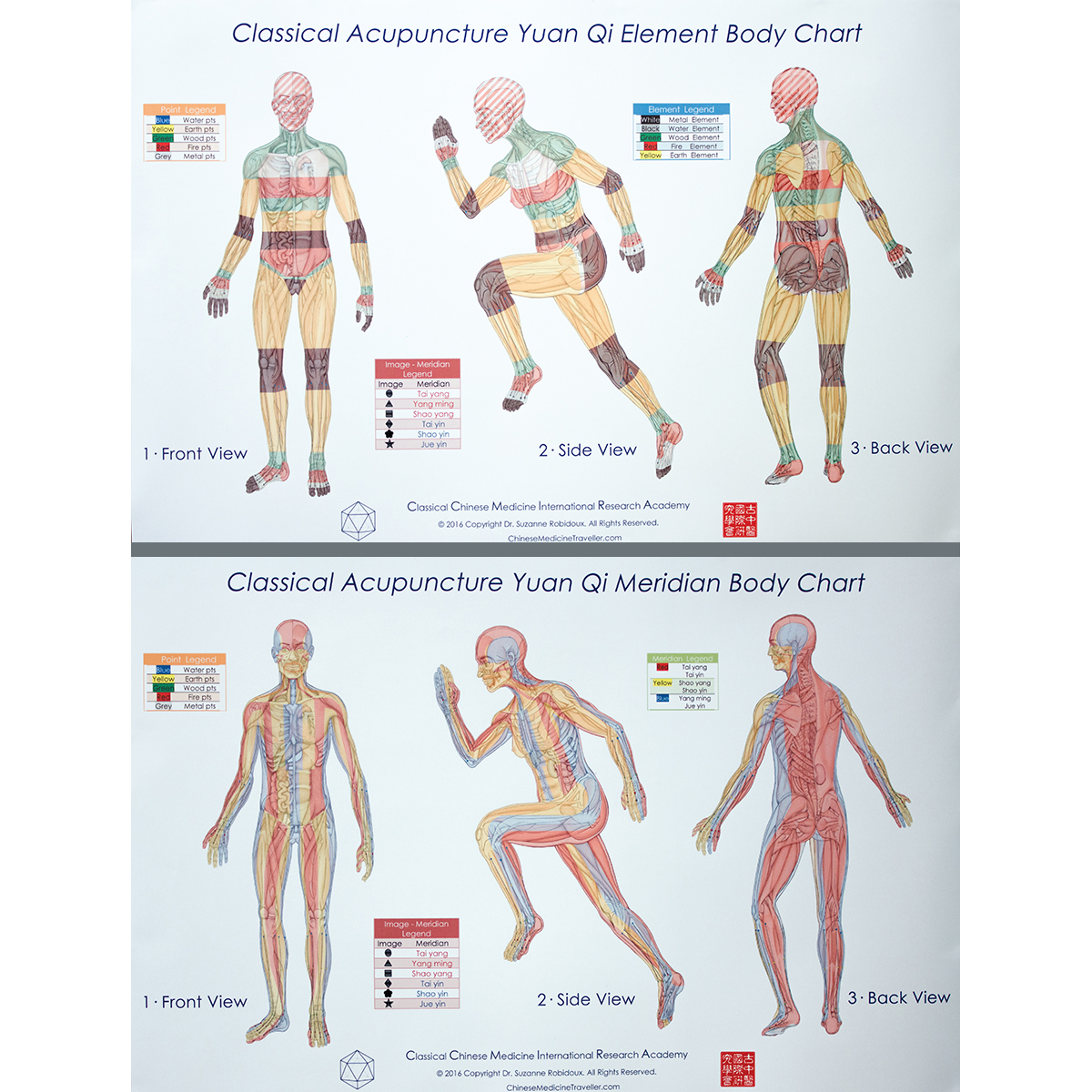 Classical Acup. Yuan Qi Body Charts-Trio Series (24 x 36")