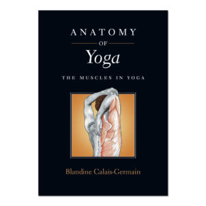Anatomy of Yoga: The Muscles in Yoga- EP
