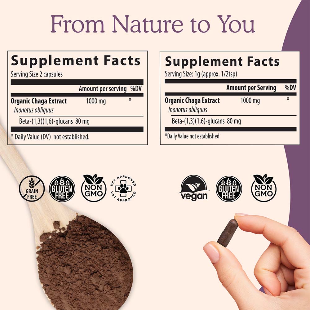 Chaga Extract - 120 Capsules - Image 2