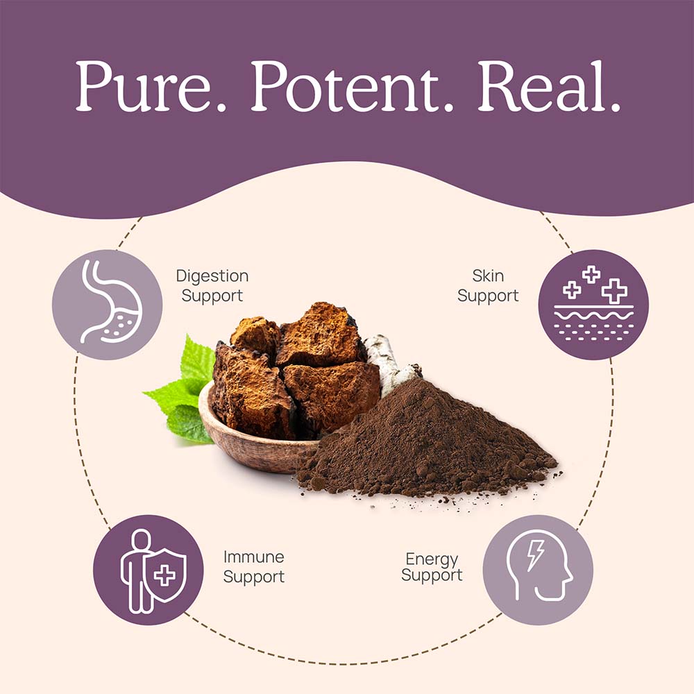Chaga Extract - 120 Capsules - Image 3