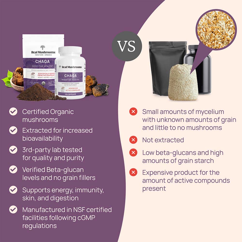 Chaga Extract - 120 Capsules - Image 4