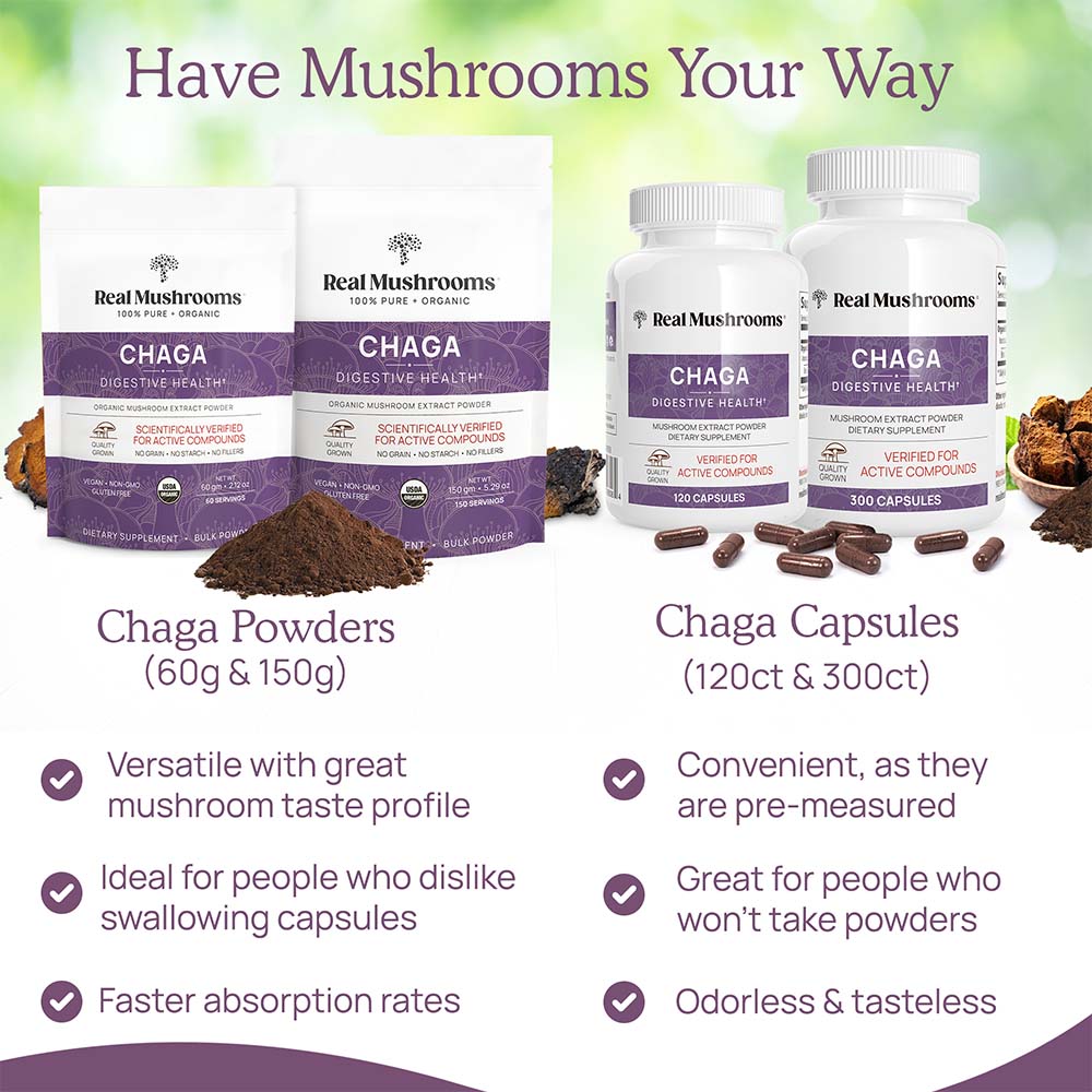 Chaga Extract - 120 Capsules - Image 5