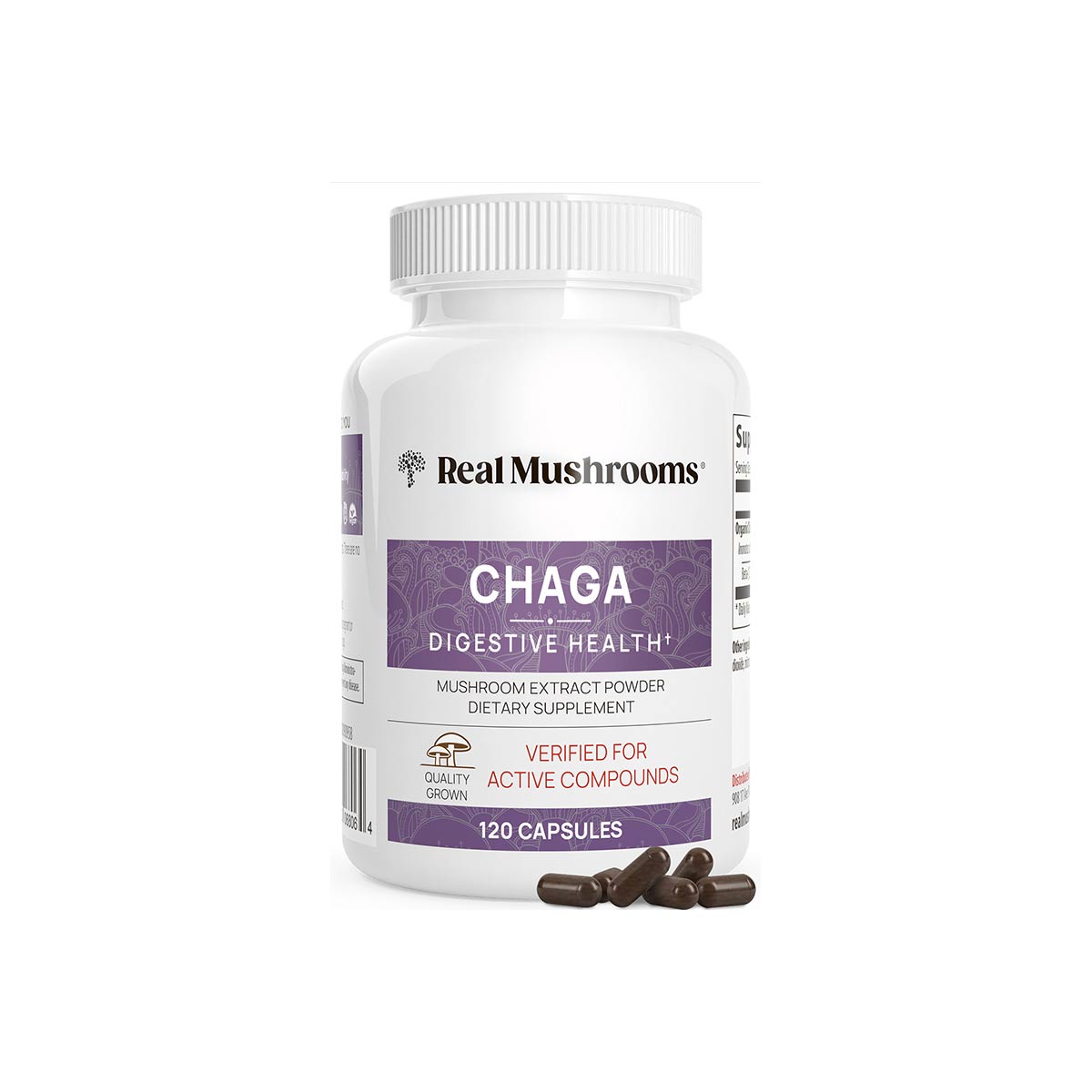 Chaga Extract - 120 Capsules