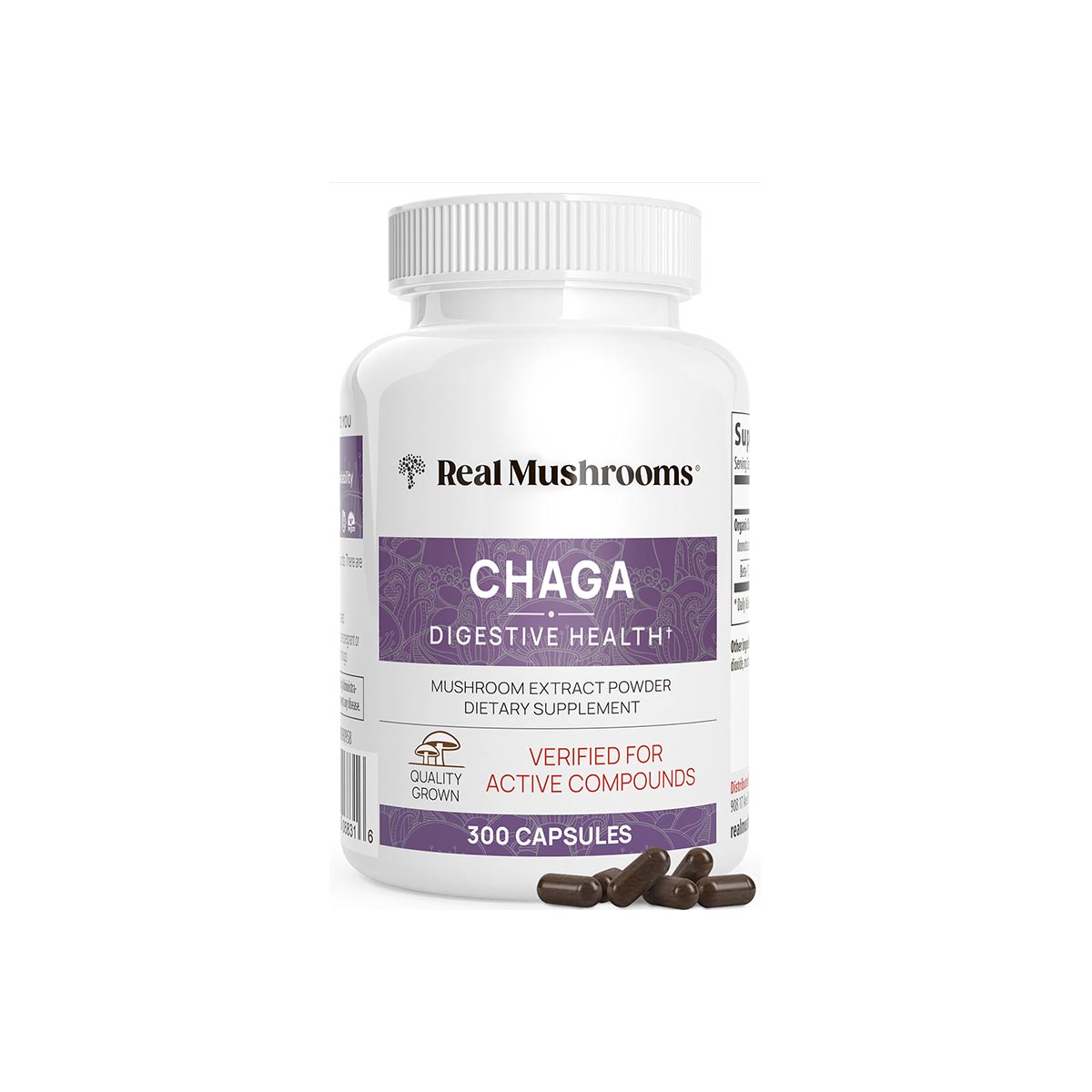Chaga Extract - 300 Capsules
