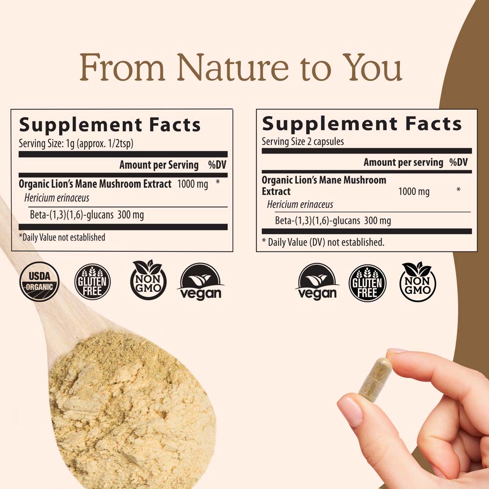 Lion's Mane Extract - 300 Capsules - Image 4