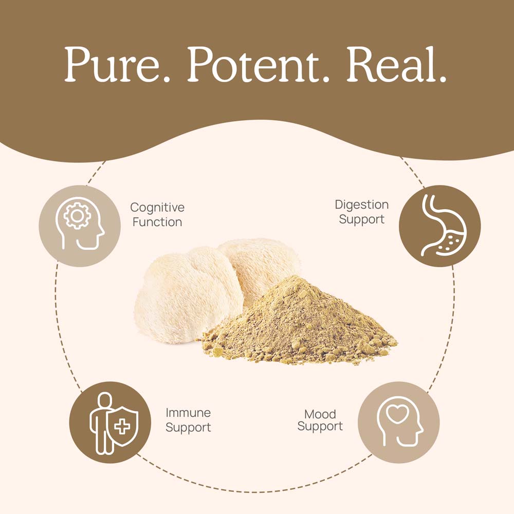 Lion's Mane Extract - 300 Capsules - Image 3