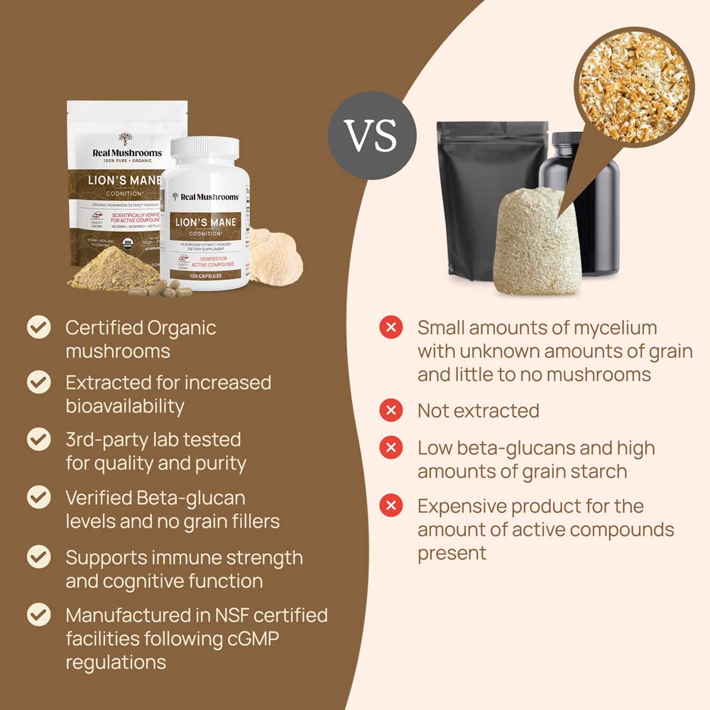 Lion's Mane Extract - 300 Capsules - Image 5