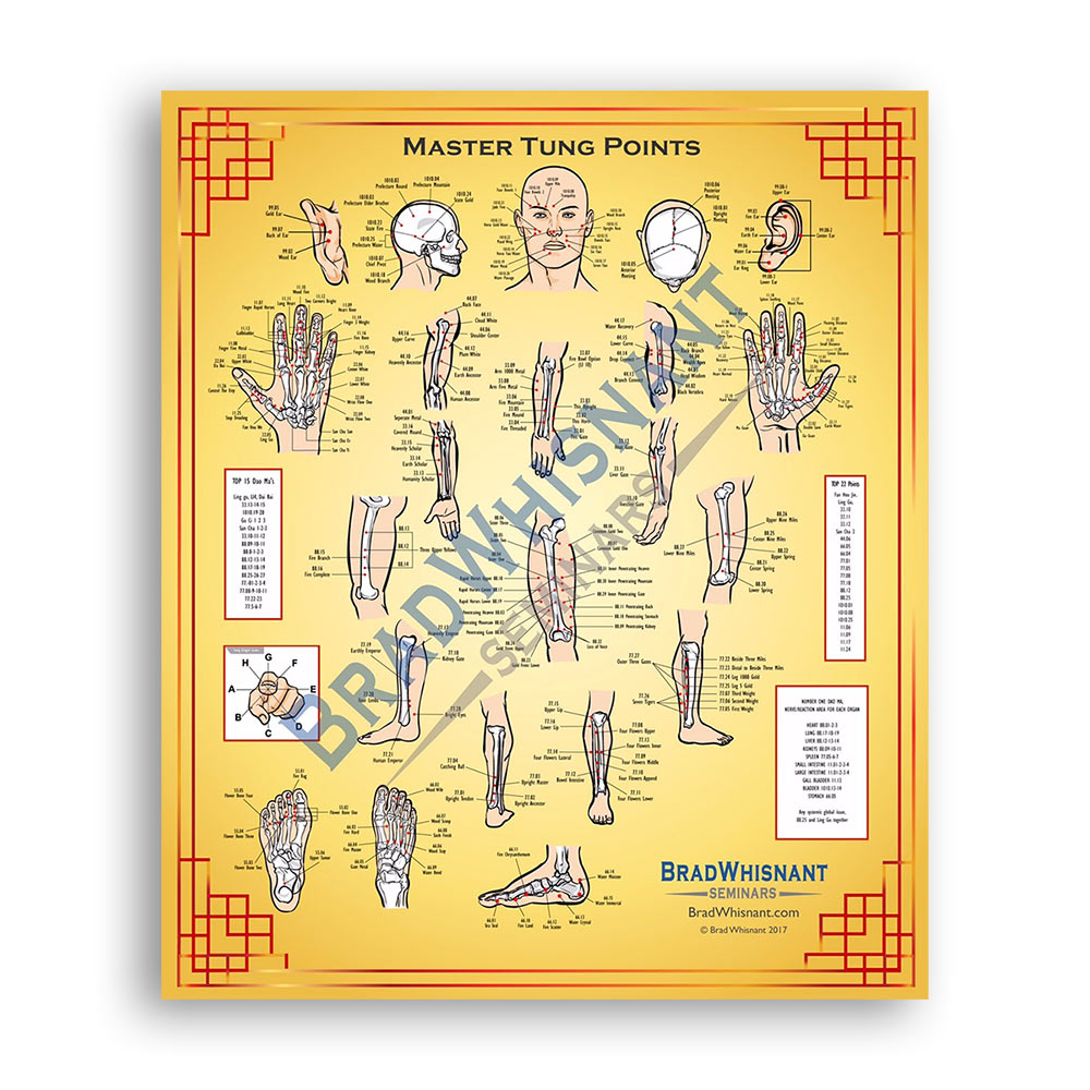 Master Tung Points-Poster 28 x 32 by Brad Whisnant