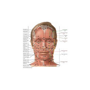 AcuFacial Muscle-Meridian Chart