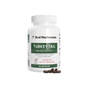 Turkey Tail Extract - 90 Capsules