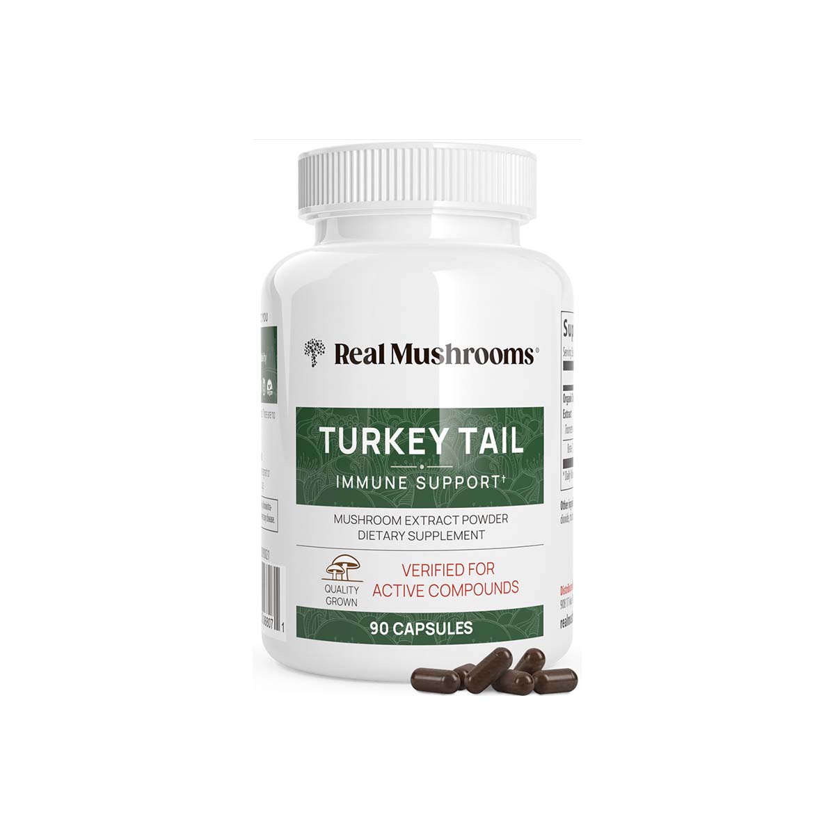Turkey Tail Extract - 90 Capsules