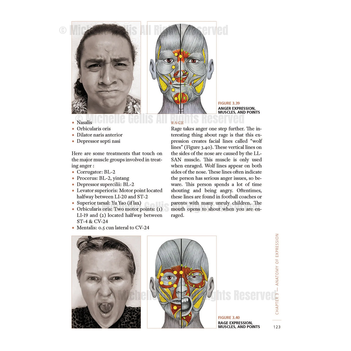 Treating the Face: a Comprehensive Guide for Acupuncturists – Eastern ...