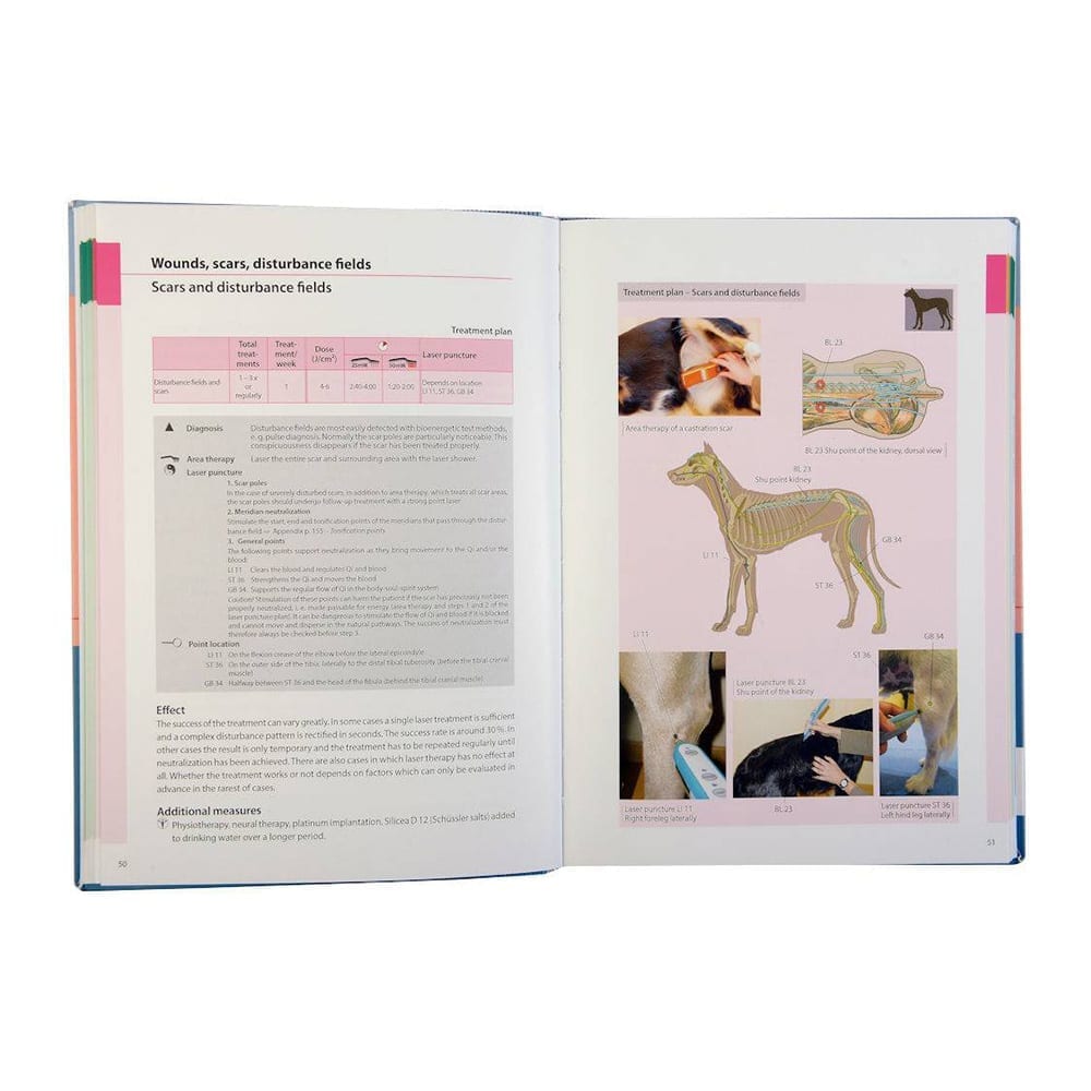 Laser Therapy & Laser Puncture in Dogs and Cats - Image 2