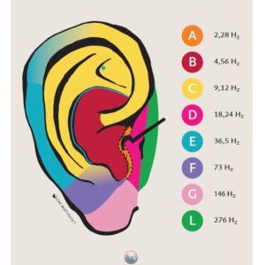 Nogier Frequencies on the Ear and Body Chart