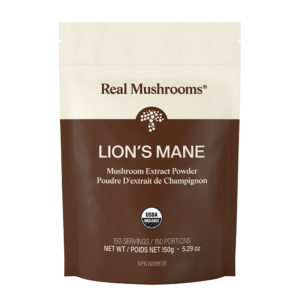Lion's Mane Extract - 150g Bulk Powder