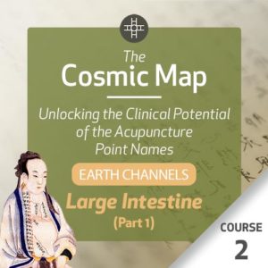 The Cosmic Map: Unlocking the Clinical Potential of the Acupuncture Point Names, Part 1: Earth Channels - Course 2