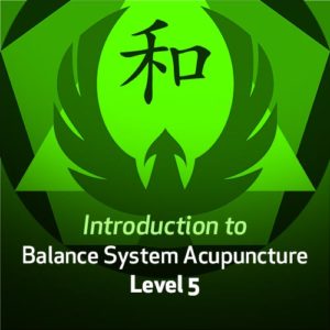 Introduction to Balance System Acupuncture - Level 5