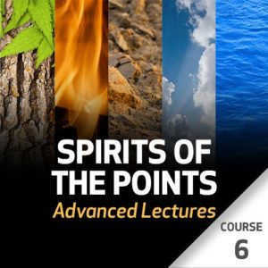 Spirits of the Points: Advanced Lectures - Course 6