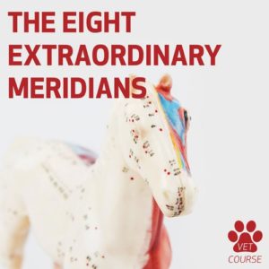 The 8 Extraordinary Meridians