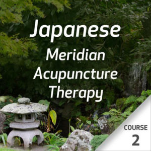 Japanese Meridian Acupuncture Therapy - Course 2