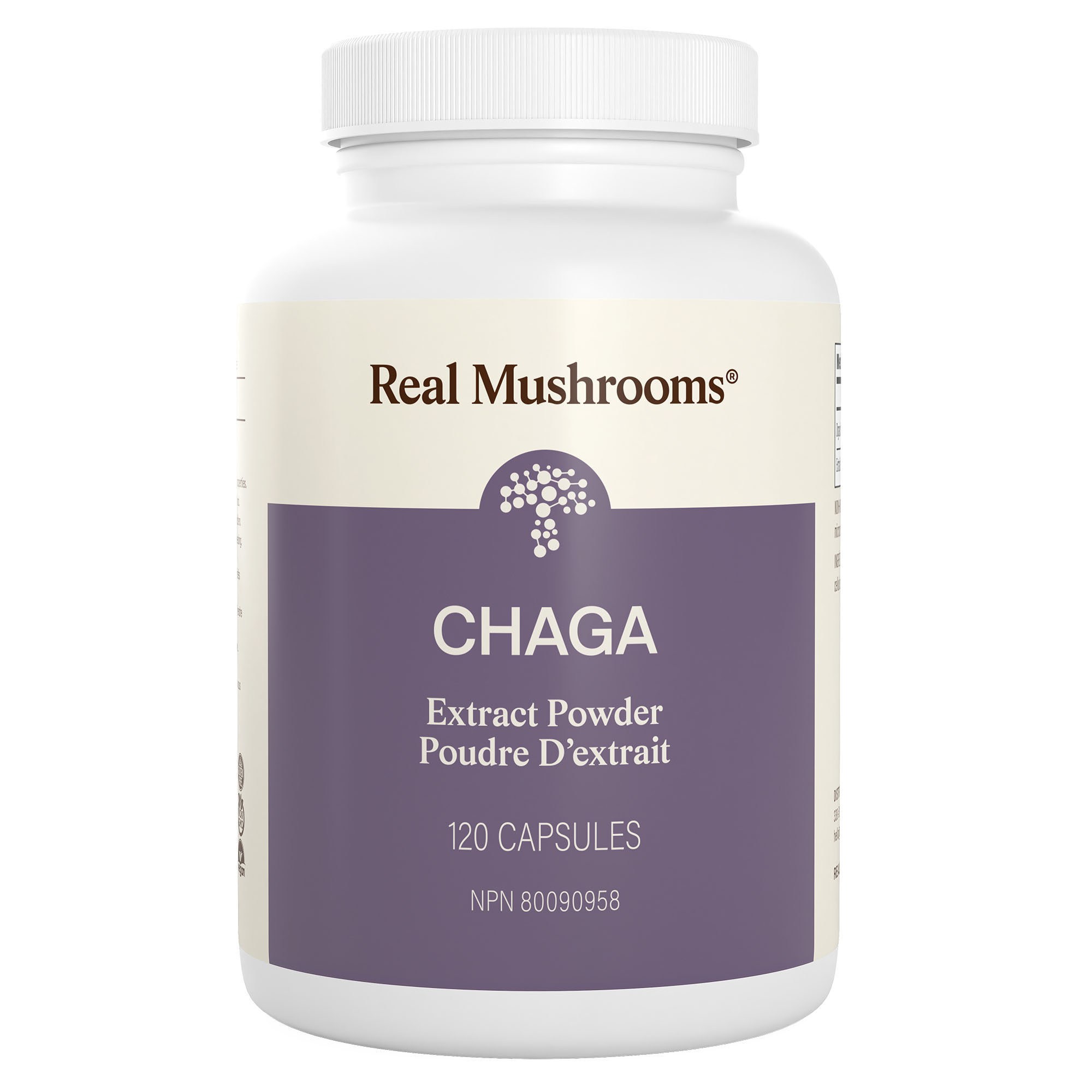 Chaga Extract - 120 Capsules