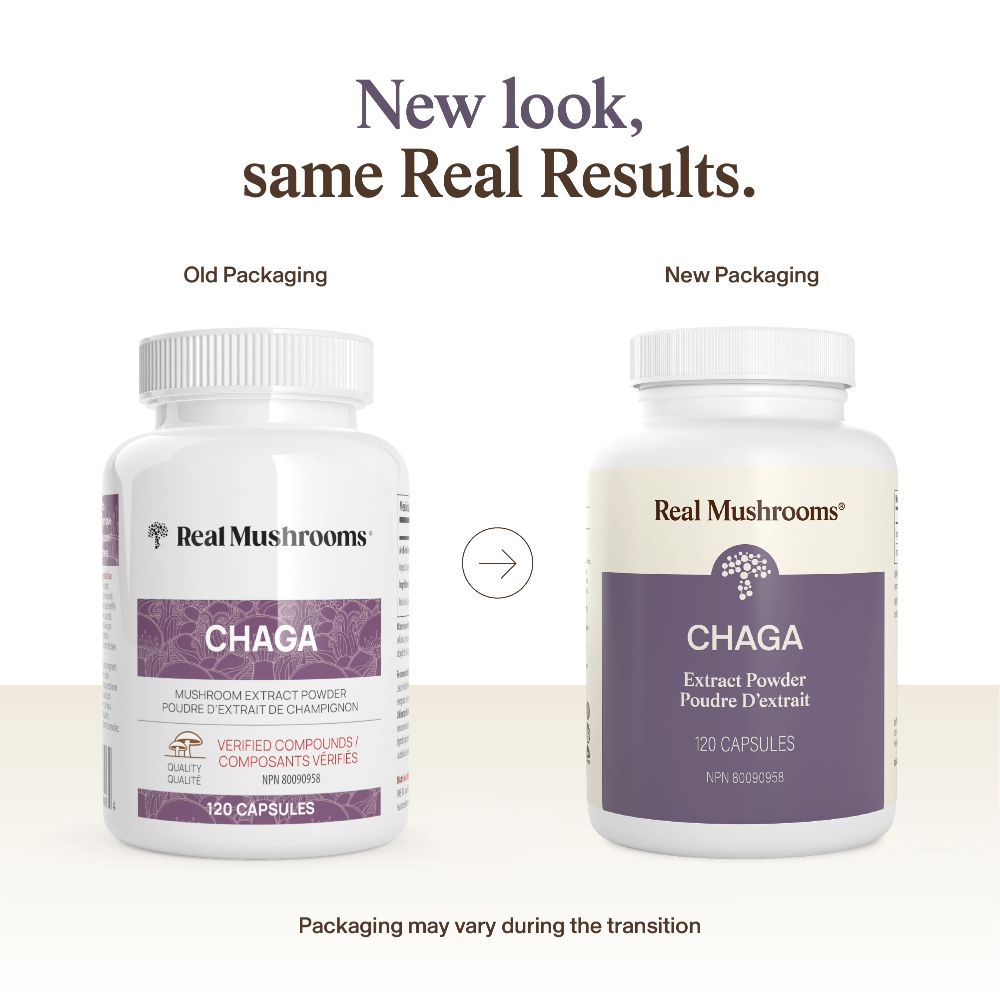 Chaga Extract - 120 Capsules - Image 4