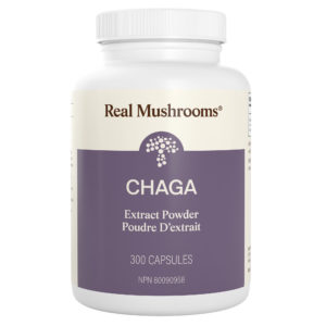 Chaga Extract - 300 Capsules