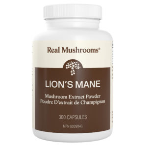 Lion's Mane Extract - 300 Capsules