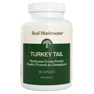 Turkey Tail Extract - 90 Capsules