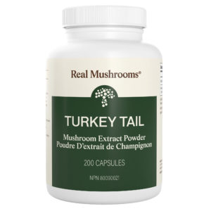 Turkey Tail Extract - 200 Capsules