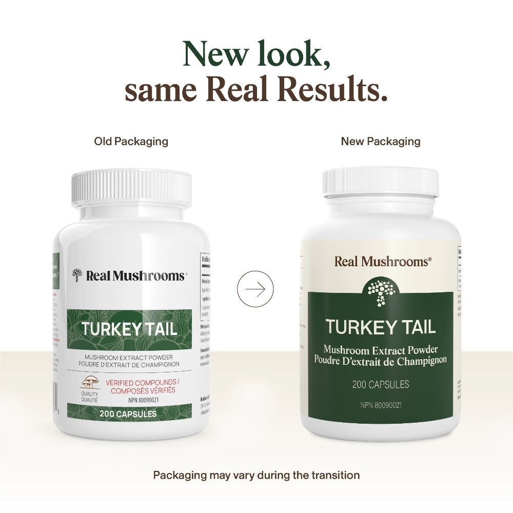 Turkey Tail Extract - 200 Capsules - Image 4