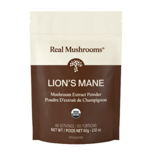 Lion's Mane Extract - 60g Bulk Powder