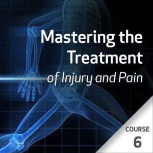 Mastering the Treatment of Injury and Pain - Course 6